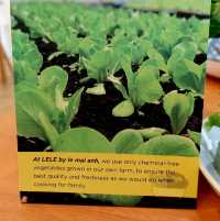 LE LE by LE MAI AHN อาหารเวียดนาม