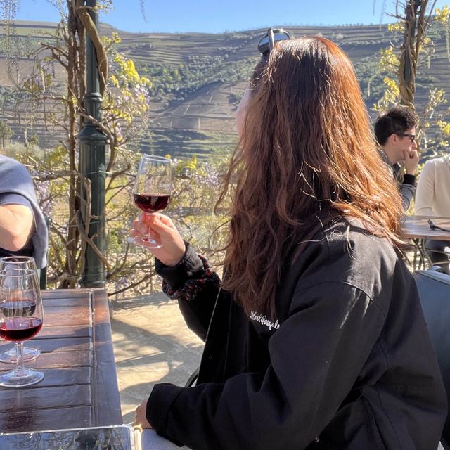 포르투 근교 도우로밸리에서 즐기는 포트와인🍷🇵🇹