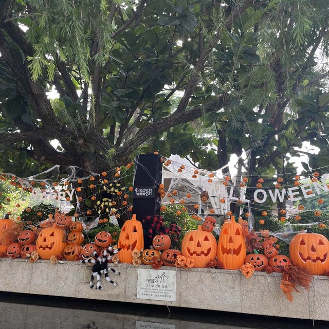 萬聖節活動🎃愉景灣市集