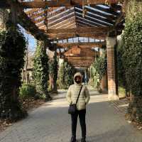 เที่ยว Central Park Zoo กัน