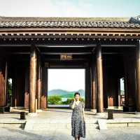大埔慈山寺｜宛如日本寺廟｜76米高巨型觀音聖像｜體驗佛教精神、洗滌心靈之旅 