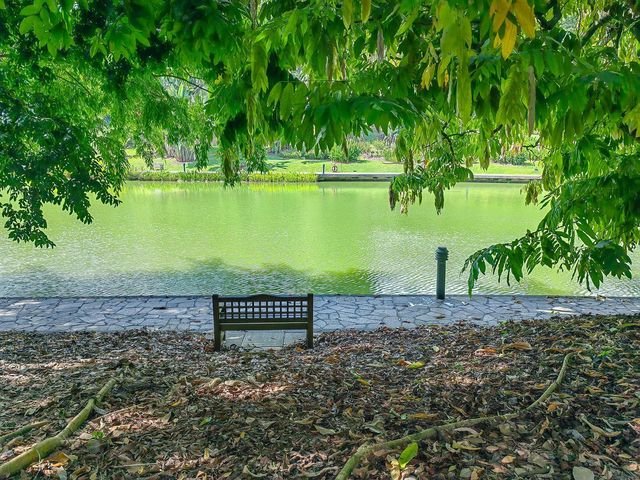 สวนพฤกษศาสตร์สิงคโปร์ (Singapore Botanic Gardens)