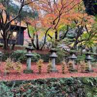 【奈良】歴史ある神社に美しい紅葉