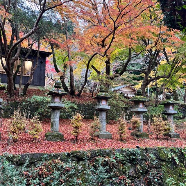 【奈良】歴史ある神社に美しい紅葉