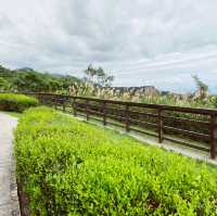 東部公路海岸風景區｜從高處看向一片東海岸的美景