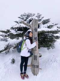 제주 눈 올때 갈만한 코스! 윗세오름 등반 ❄️