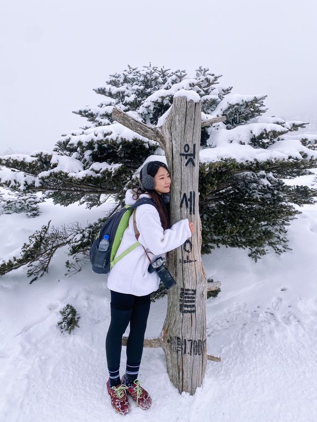 제주 눈 올때 갈만한 코스! 윗세오름 등반 ❄️