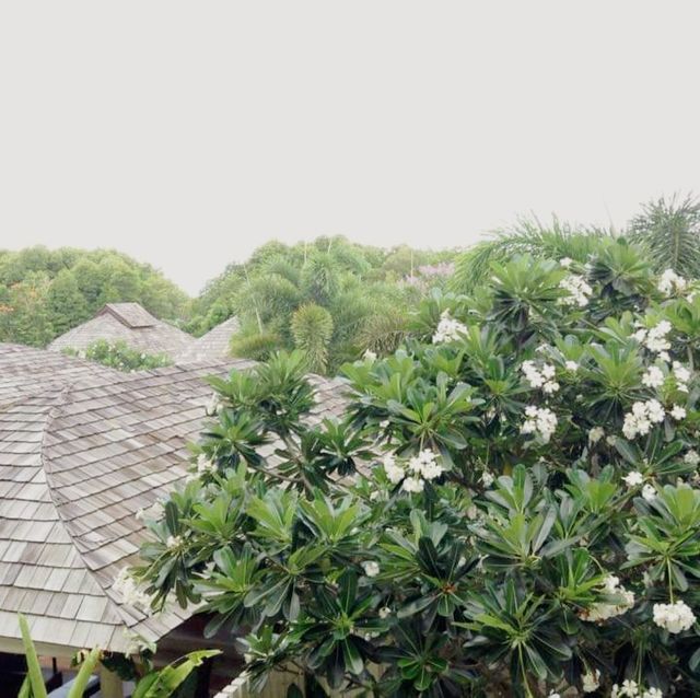 บุหงาธานี...ที่พักหรูริมทะเล ไร่เลย์ กระบี่