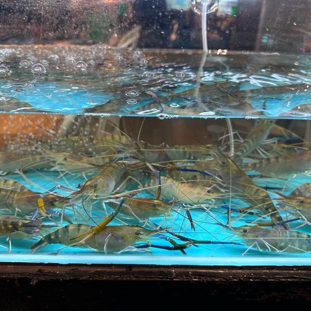 開心滿足蝦蝦燒
