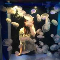 Exploring Shinagawa Aquarium 