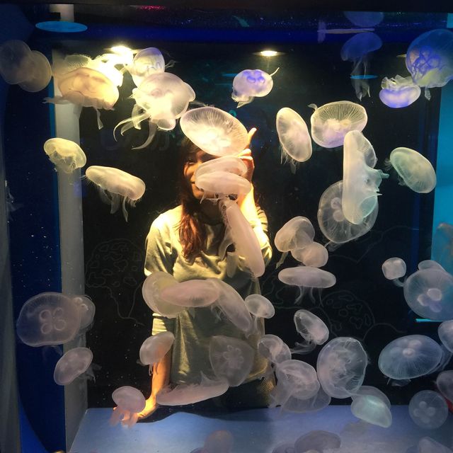 Exploring Shinagawa Aquarium 