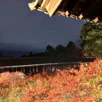【京都】縁側からの庭園が素晴らしい