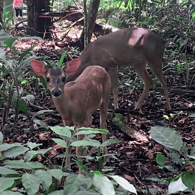 Manuel Antonio - Hiking trails 