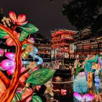 CNY Lights that shine 