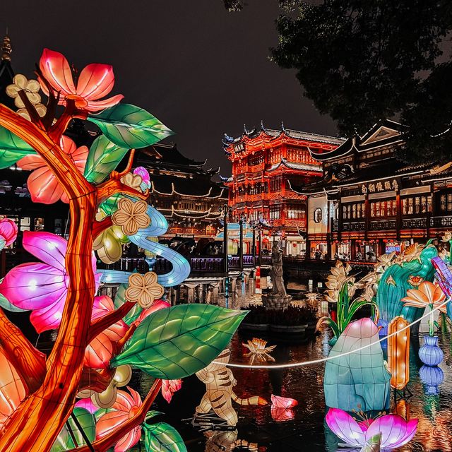 CNY Lights that shine 