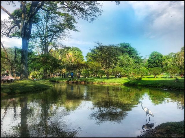 Walking around Colombo (Sril Lanka)