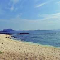 🏖 모래가 아닌 산호로 빛나는 해변, 우도 서빈백사해수욕장