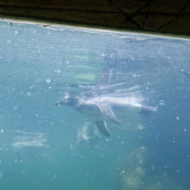 Beautiful moments at Peak Wildlife Park 