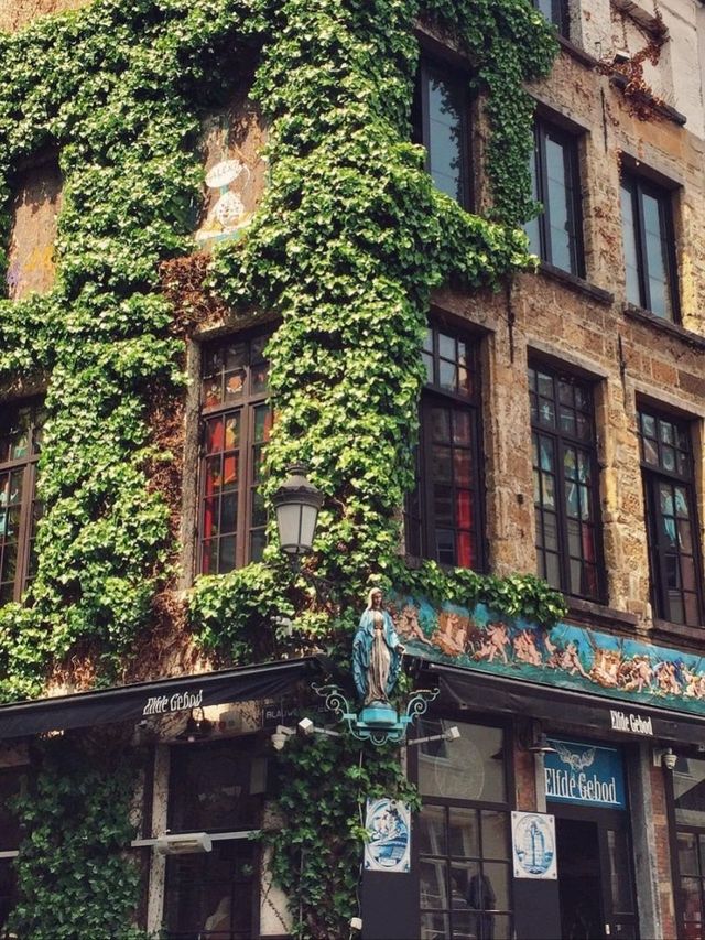 Impressions in Antwerp 🇧🇪