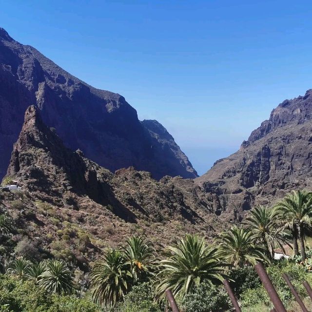 trip through history of Tenerife 
