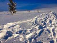 Hiking Routes in Lapland, Finland 🇫🇮☃️✈️❄️