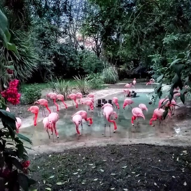 Didn't expect Portugal to have such a great zoo experience.