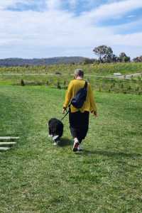 Enjoy the flowers at Canberra Arboretum.