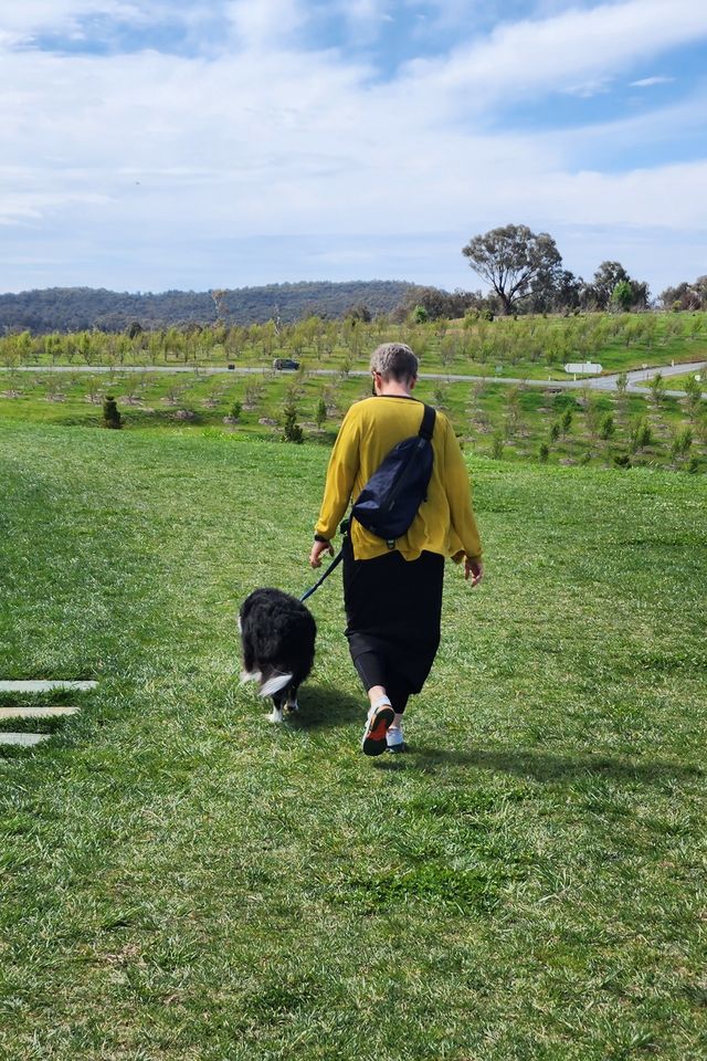 Enjoy the flowers at Canberra Arboretum.