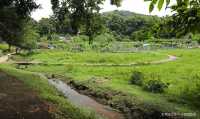Outing destination recommendation | Yuanquan Ancient Trail hiking route recommendation