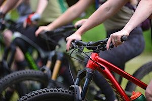 MTB Clinic—Progression (Adult) | Hale Education, Inc.