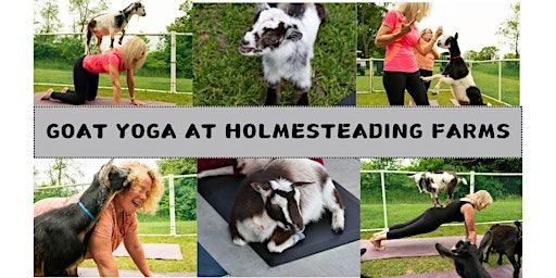Goat Yoga | 27389 Bagley Rd