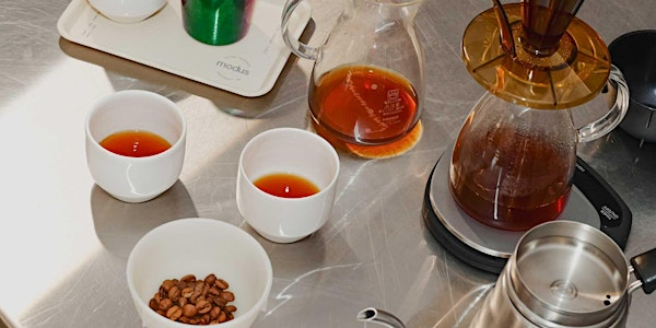 processing & fermentation specialty coffee tasting | Coffee Roastery Modus
