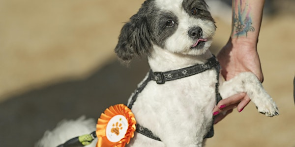 The Muddy Dog Show at Muddy Dog Dash | Upton Country Park