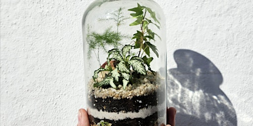 Small Closed Terrarium Workshop | 91 Trafalgar St