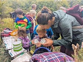 Family Fun Friday - Mini-beasts & Dens | Wardens Wood