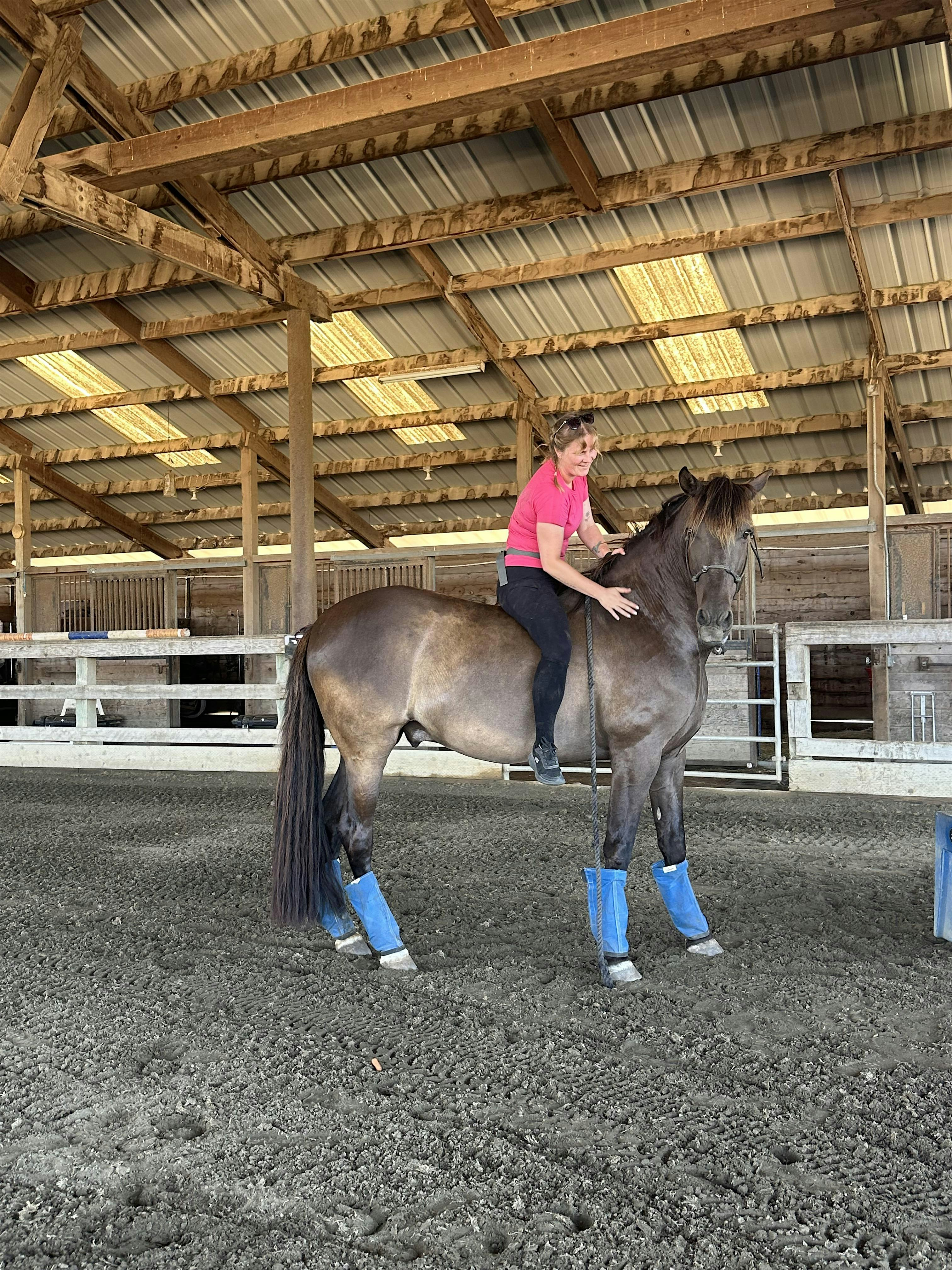 R+ Horse Training Series Part 2: Problem-Solving & Troubleshooting | 771 Liberty Rd