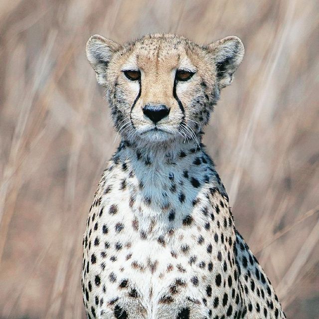 Serengeti National Park