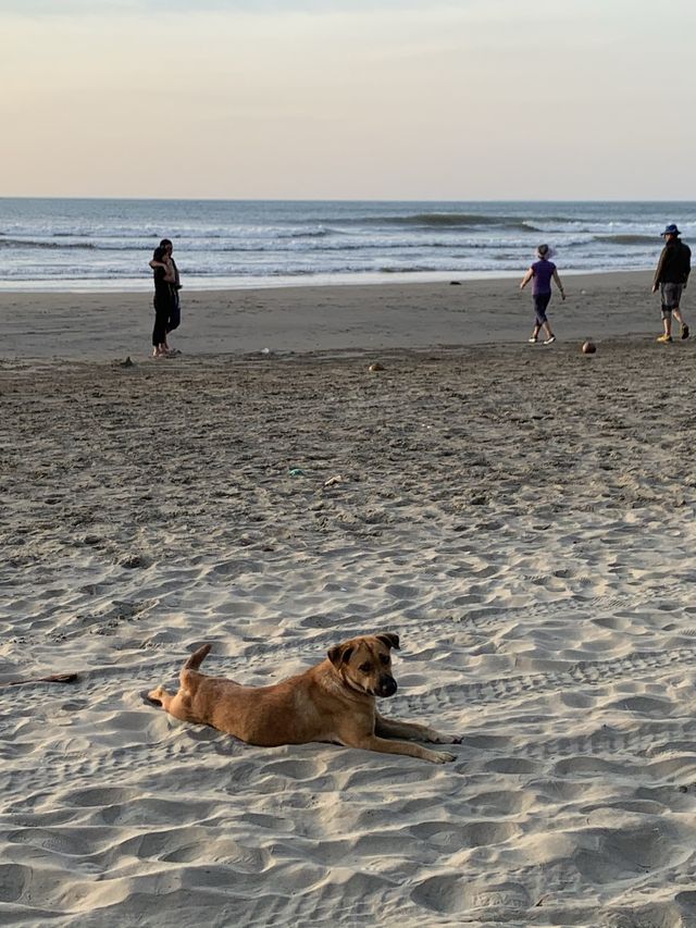 코타키나발루 나나문 🌅 코타키나발루 나나문 🌅