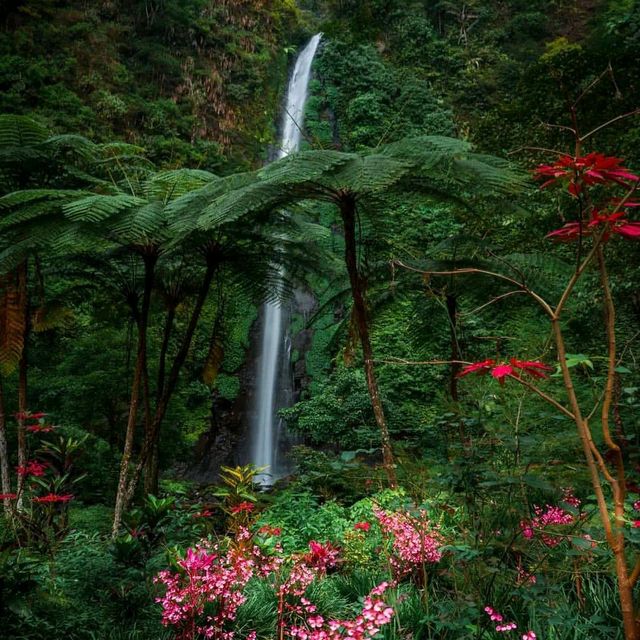 TANCAK WATERFALL : JEMBER