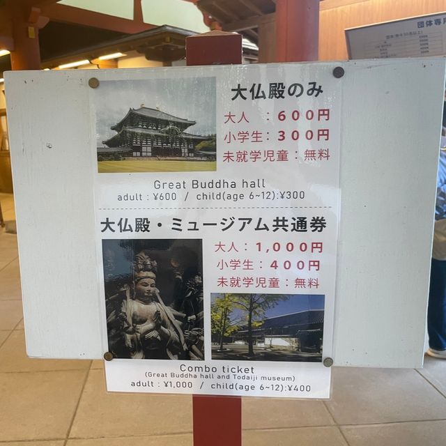 【東大寺】奈良の大仏様✨🦌