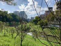 內湖晨跑去～沿著東湖樂活公園、內溝溪、白馬山莊回返