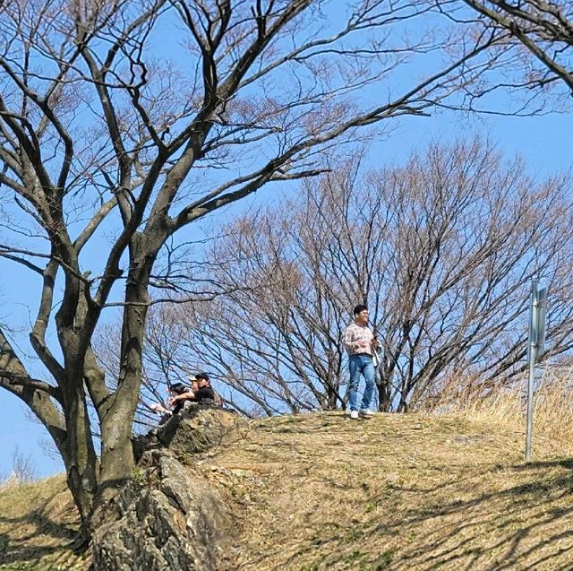 대전여행 계족산 등산 비래사코스