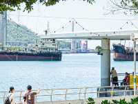 靚海靚景 荃灣海濱長廊