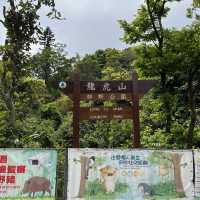 香港大學👉🏻龍虎山👉🏻太平山頂