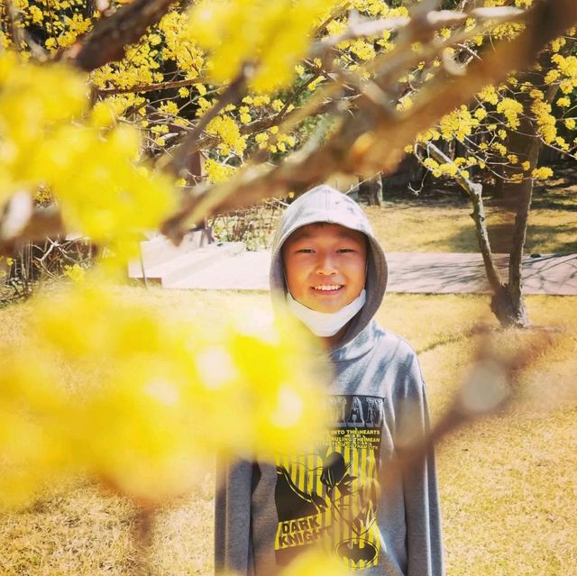 화성 롤링힐스 호텔에서 호캉스