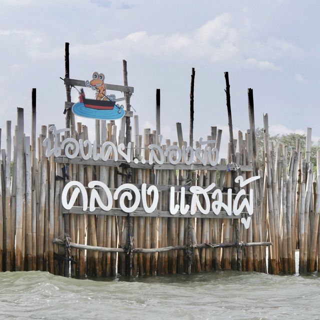 ทุ่งโปร่งทอง