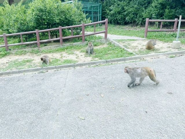 金山家樂徑