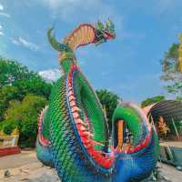 🐉 วัดพระธาตุหนองบัว | ไปเยือนอุบลต้องห้ามพลาด