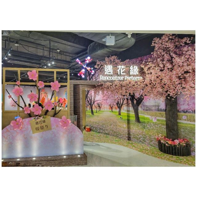 遇．花．緣。櫻花祭。北角匯 