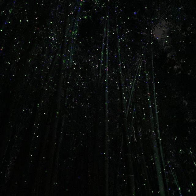 울산가면 꼭 가볼 십리대숲🎋